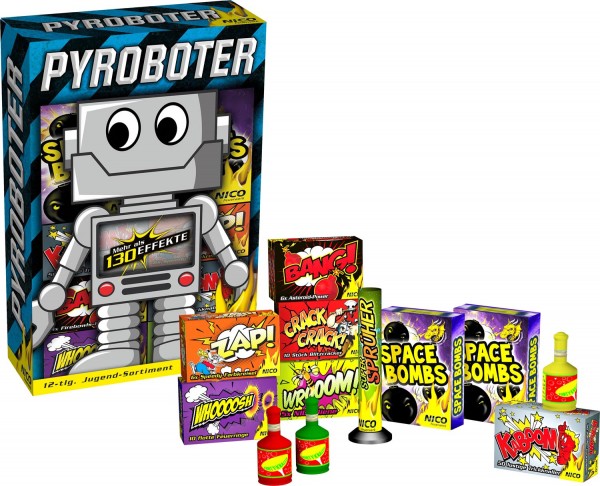 Pyroboter, 12 Schachteln sortiert 