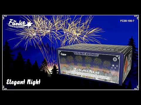 Elegant Night